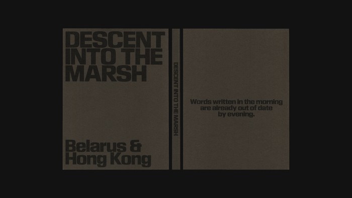 Descent into the Marsh 5