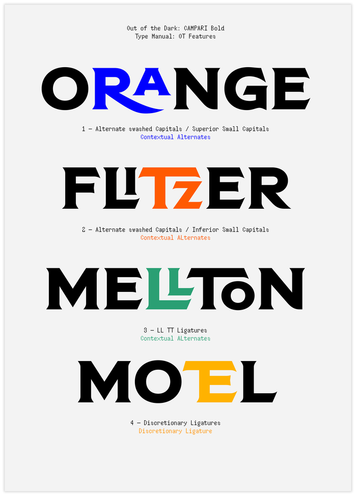 Excerpt from the Type Manual (PDF)