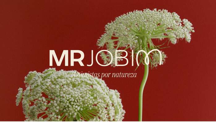 MR Jobim branding boutique 3