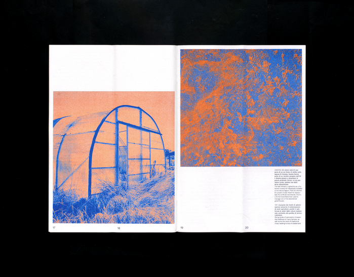Raccogliere magazine 3
