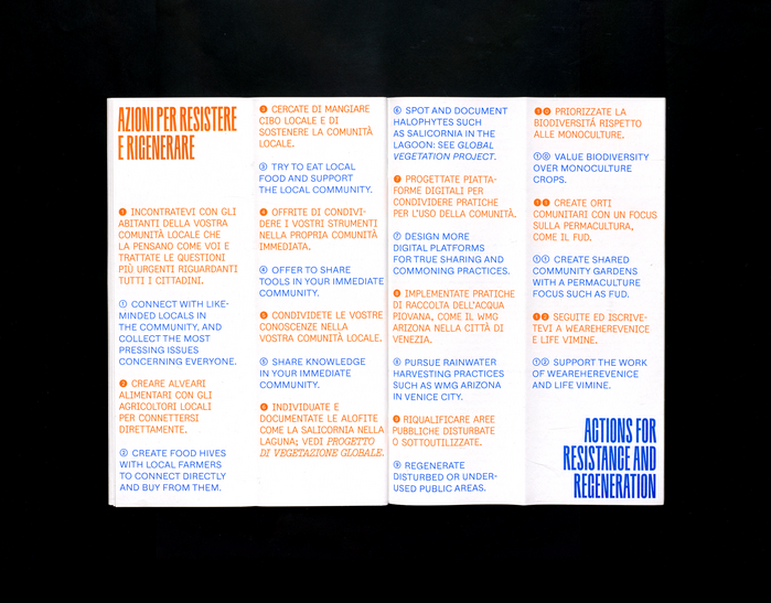 Raccogliere magazine 5