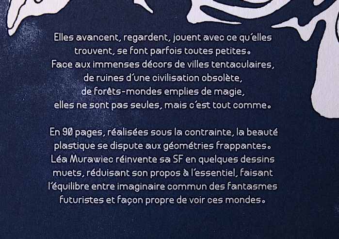 Close-up of the back cover’s text, showing Format 1492