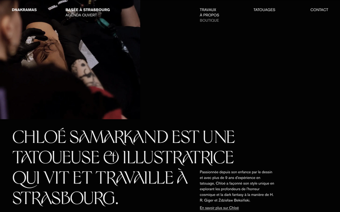 Dnakramas portfolio website 2