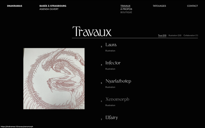 Dnakramas portfolio website 5