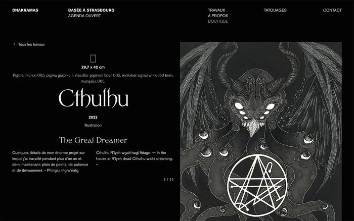 Dnakramas portfolio website 6