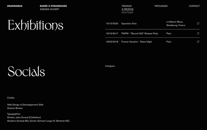 Dnakramas portfolio website 8