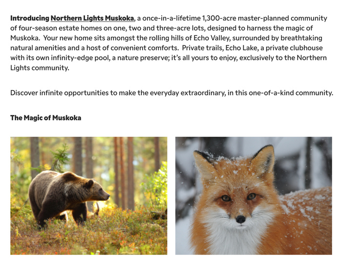 Article detail with text set in two weights from Gamay’s Regular width