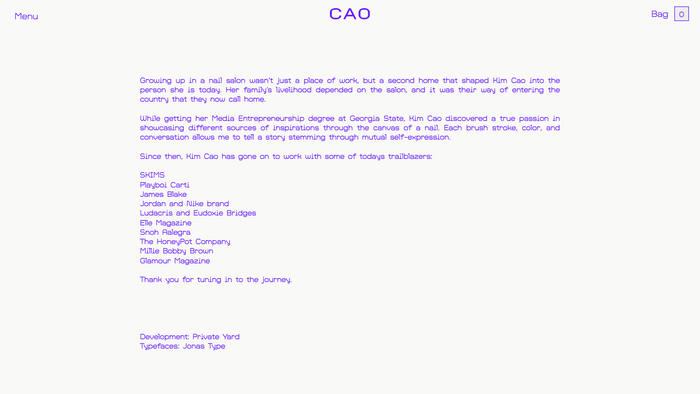 Kim Cao website 4