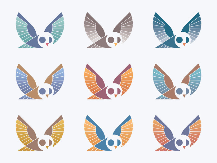 Hoot Productions 3