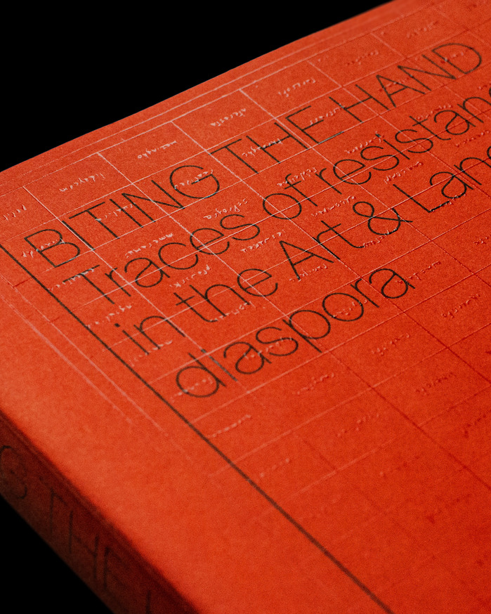 Biting the Hand: Traces of Resistance in the Art &amp; Language diaspora by Paul Wood (ed.) 1