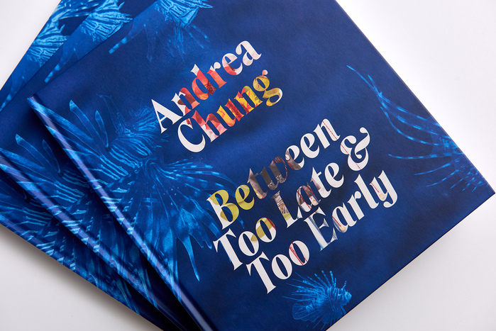 Andrea Chung – Between Too Late &amp; Too Early  exhibition catalog 1