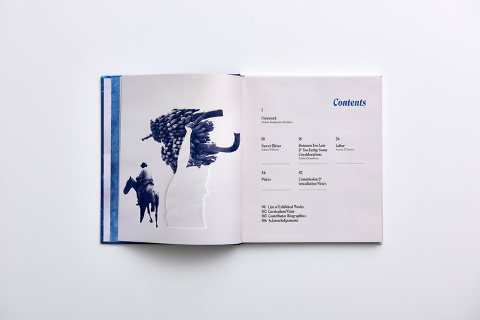 Andrea Chung – Between Too Late &amp; Too Early  exhibition catalog 3