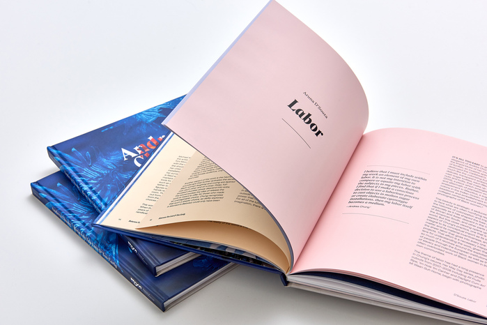 Andrea Chung – Between Too Late &amp; Too Early  exhibition catalog 4