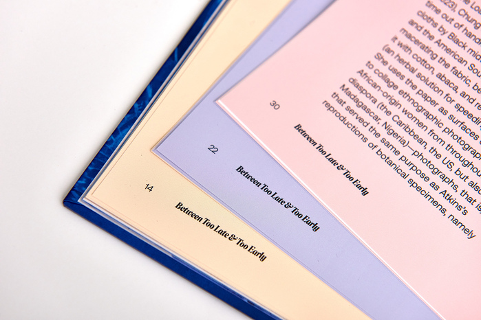 Andrea Chung – Between Too Late &amp; Too Early  exhibition catalog 8