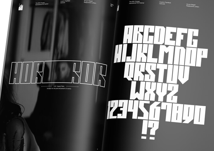 The 60th Chicago International Film Festival 16