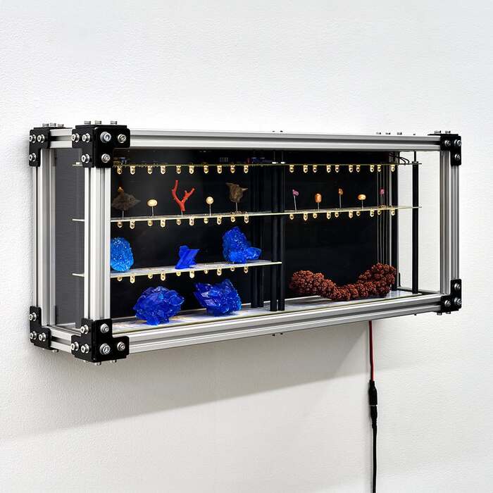 Brian Oakes, Display Case 3 (A Mind), 2024
