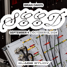 Brian Oakes – <cite>SEED</cite> exhibition at Blade Study