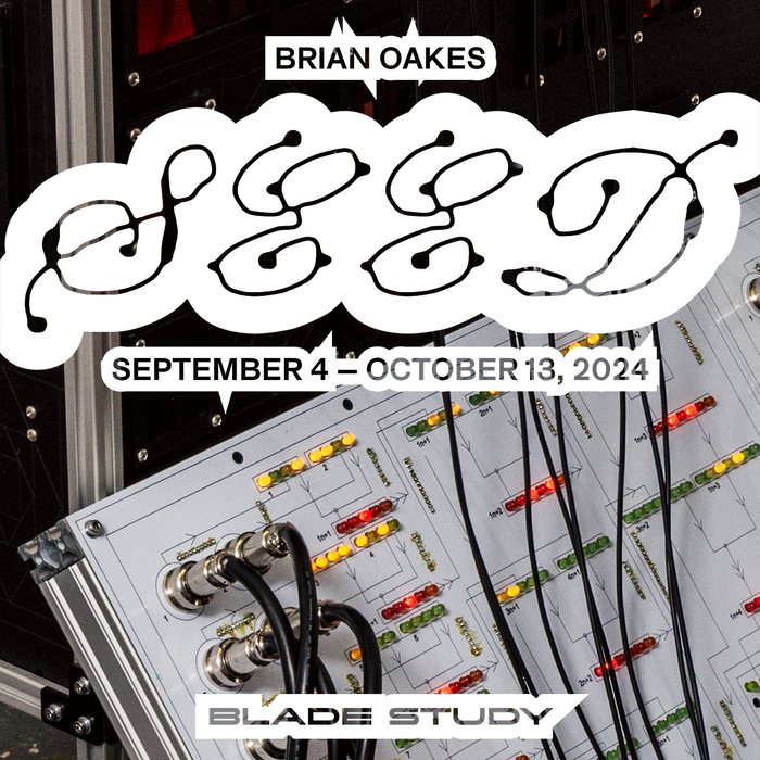 Brian Oakes – SEED exhibition at Blade Study 1