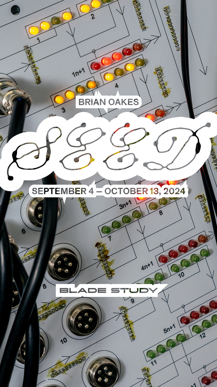 Brian Oakes – SEED exhibition at Blade Study 4