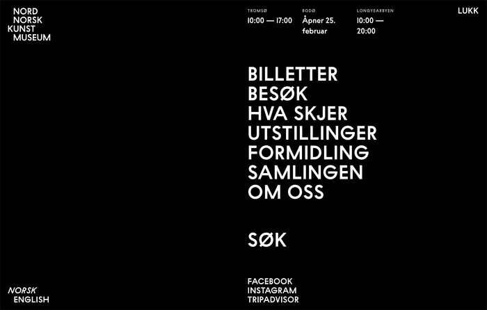 Nord Norsk Kunstmuseum logo and website 5