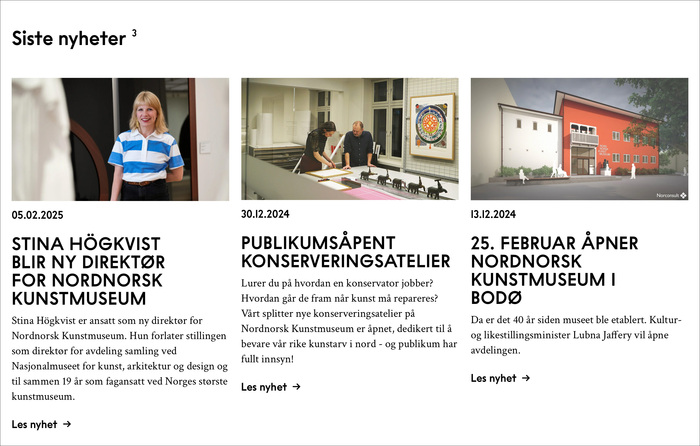 Nord Norsk Kunstmuseum logo and website 7