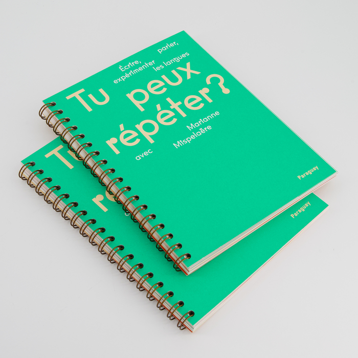 Tu peux répéter&nbsp;? Écrire, parler, expérimenter les langues avec Marianne Mispelaëre 1