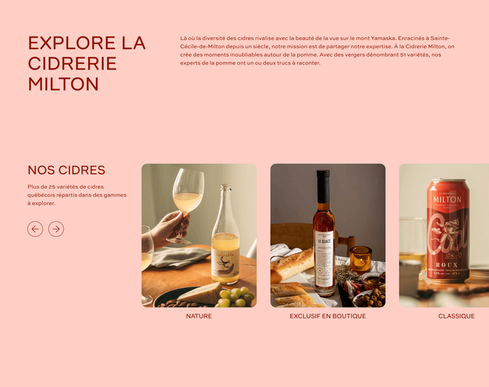Website detail
