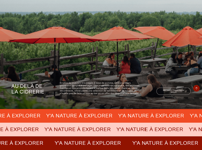 Website detail