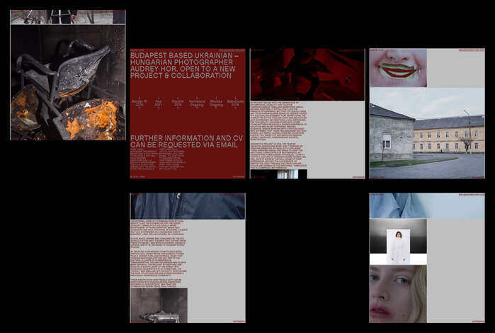 Audrey Hor portfolio website 4