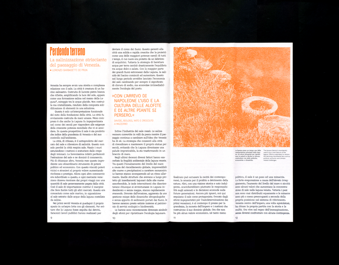 Raccogliere magazine 6