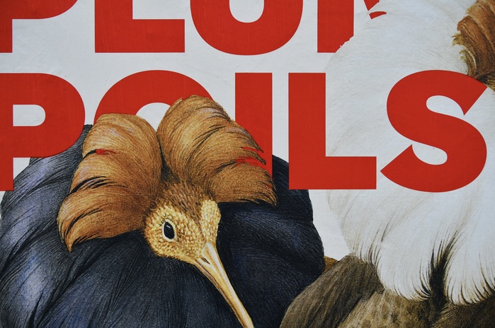 Plumes, Poils, Paul exhibition at MUZOO 2