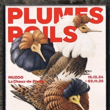 <cite><span></span> </cite><span><cite>Plumes, Poils, Paul</cite> exhibition at MUZOO</span>