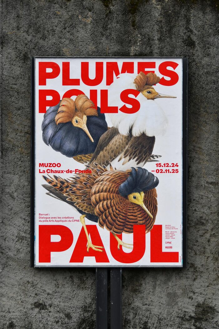 Plumes, Poils, Paul exhibition at MUZOO 1