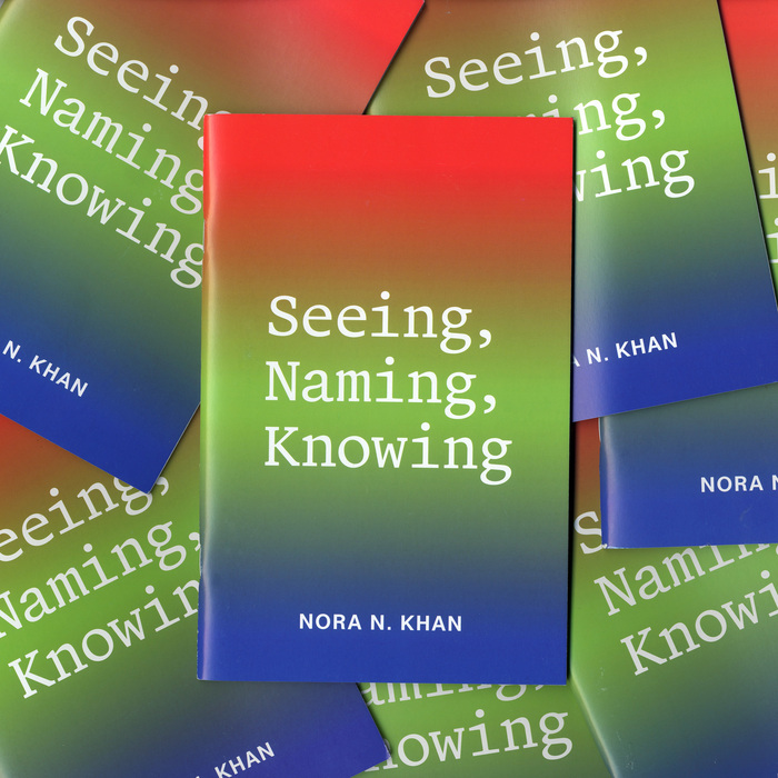 Seeing Naming Knowing by Nora N. Khan 1