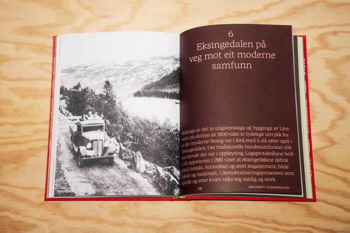 Drivkraft i Eksingedalen 4