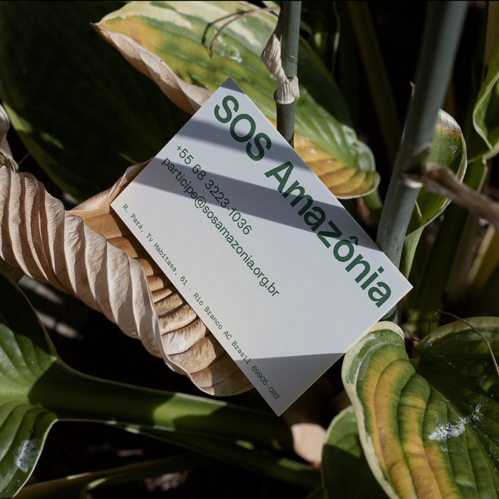 SOS Amazônia 6