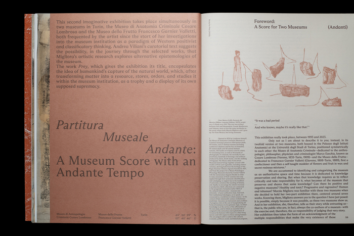 Marzia Migliora. Seven Imaginative Exhibitions 1993–2024 5