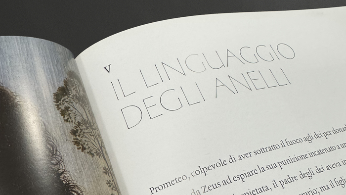 Diamanti Rubini e Smeraldi by Silvia Malaguzzi 4