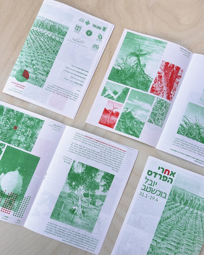 Yuval Buchshtab – After the Orchard exhibition booklet 2