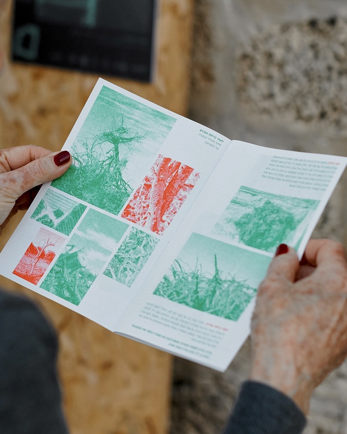 Yuval Buchshtab – After the Orchard exhibition booklet 3
