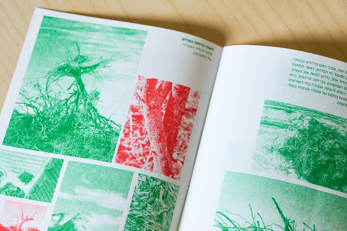 Yuval Buchshtab – After the Orchard exhibition booklet 4