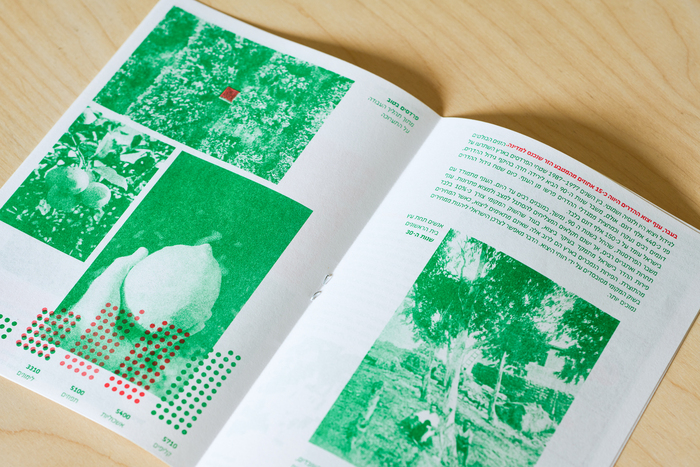Yuval Buchshtab – After the Orchard exhibition booklet 5