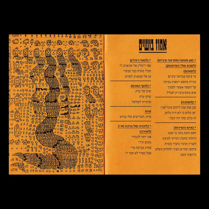 Achla America zine 3