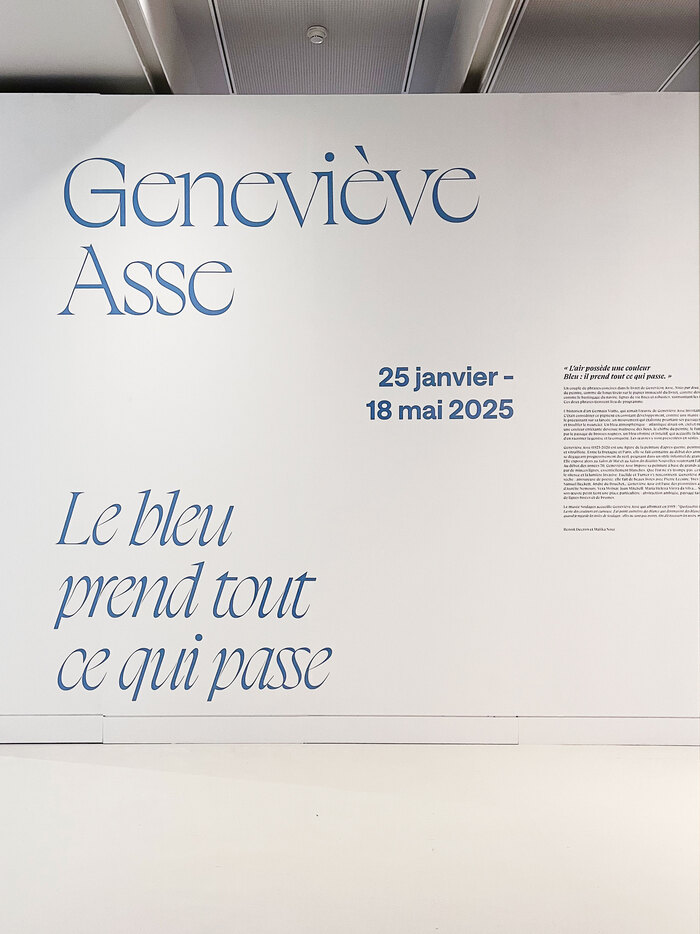 Geneviève Asse – Le Bleu prend tout ce qui passe exhibition and catalog 6