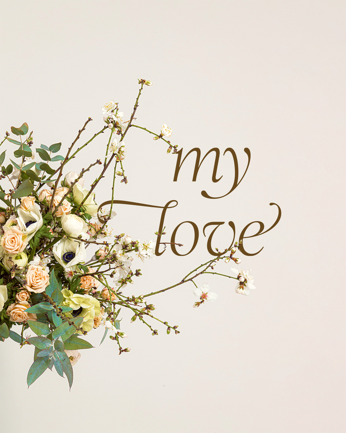 Malfoof Flowers Valentine’s cards 6