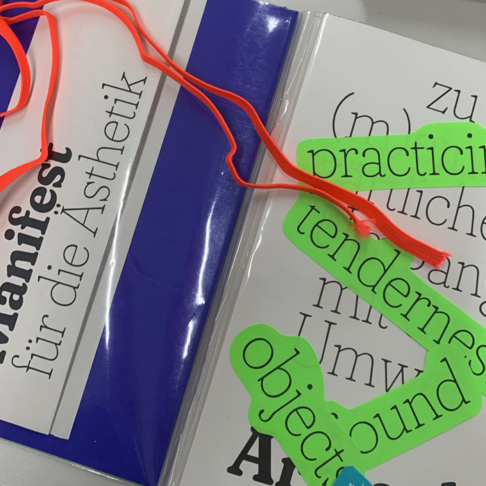 zu (m)einem zärtlichen Umgang mit der Umwelt / Practice / Found / Objects / Tenderness 6