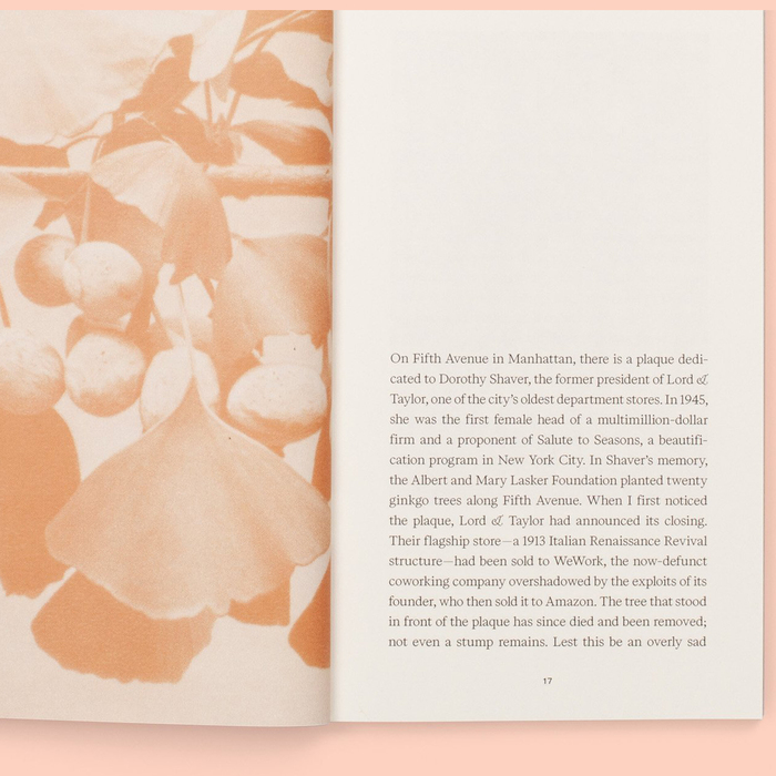 A Tree Grows in Queens by Magali Duzant 4