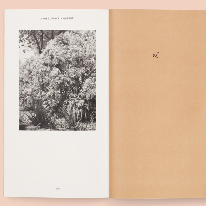 A Tree Grows in Queens by Magali Duzant 5