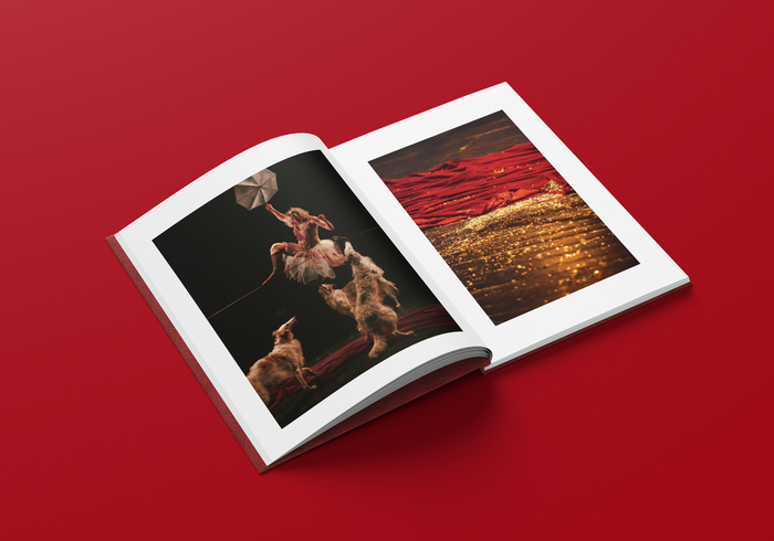 Marie Molliens – Rasposo Circus
by Ryo Ichii 3