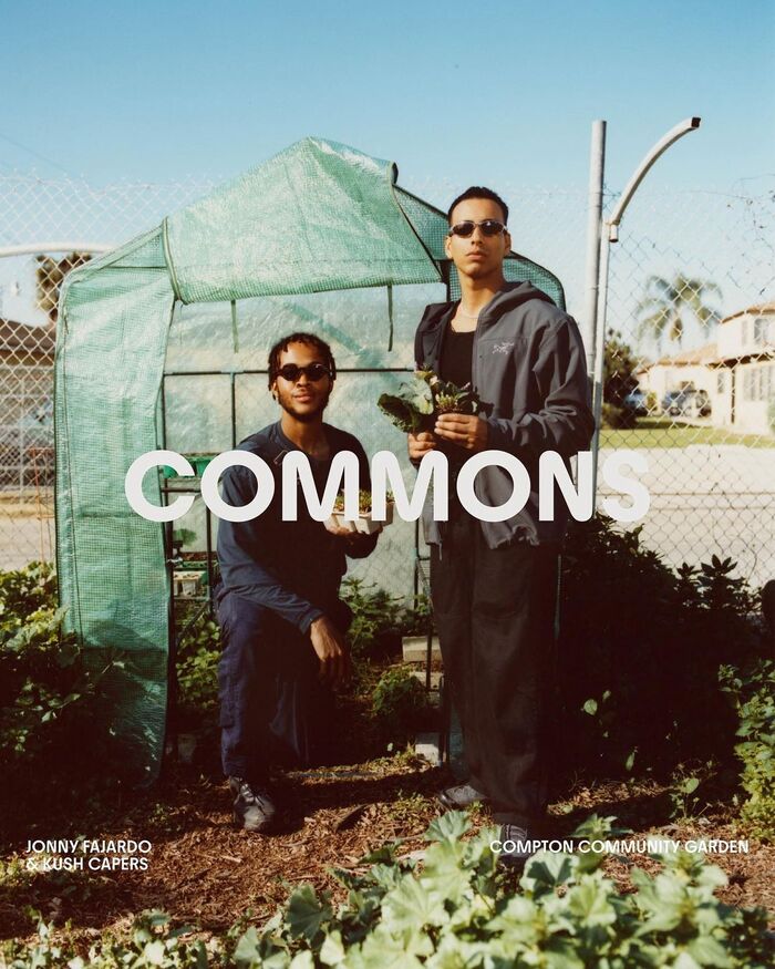 Commons, sustainable lifestyle platform 4
